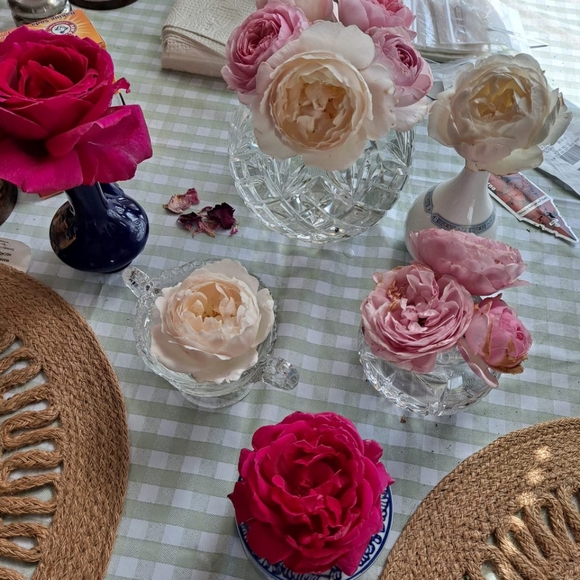 Meet your Posher, R Jewel - Picture 8 of 11